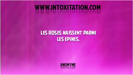 Les roses naissent parmi les pines.