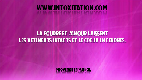 Citation : La foudre et l'amour laissent les vtements intacts et le coeur en cendres.